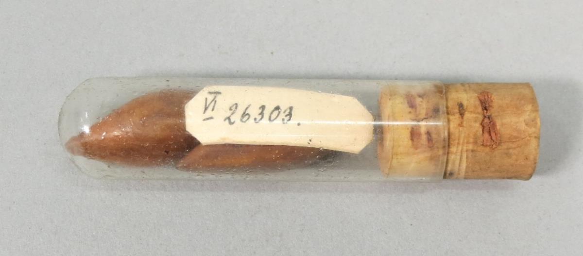 VI 26303