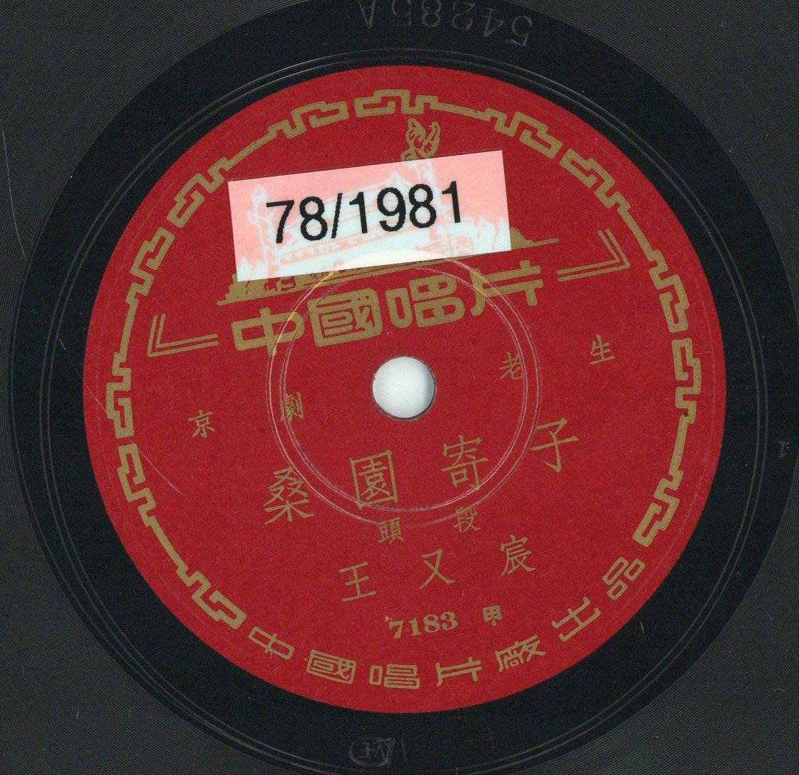 VII 78/1981