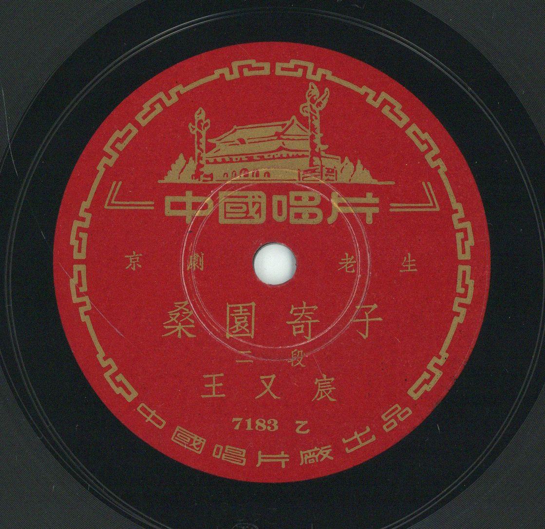 VII 78/1981