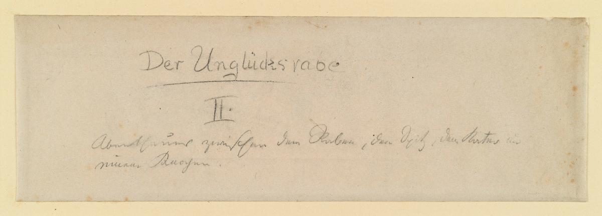 Titelblatt. Der Unglücksrabe II. Abenteuer zwischen dem Raben, dem Spitz, dem Kater und einem Knochen. zu: Hans Huckebein, der Unglücksrabe