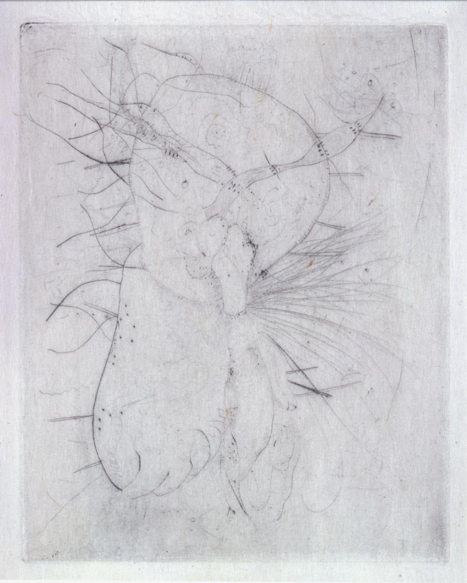 Ohne Titel (Knollengesicht) (urspr. in: René de Solier, Naturelles, Paris 1946)