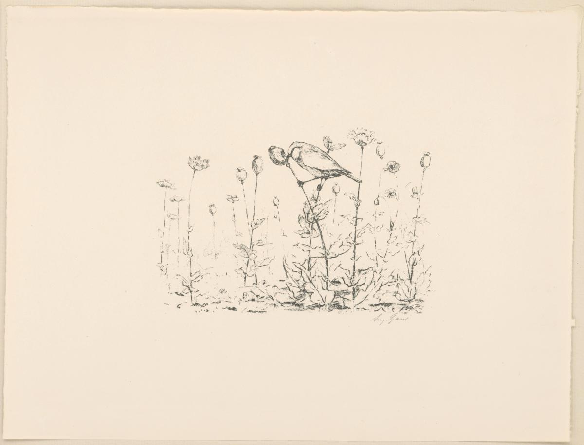 Meise (aus: Vom Fressen der Tiere)
