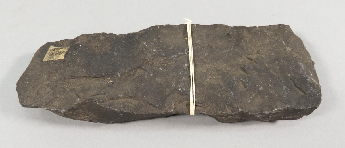 VI 8715