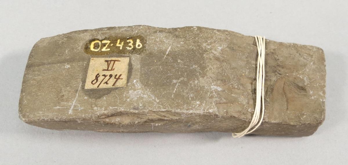VI 8724