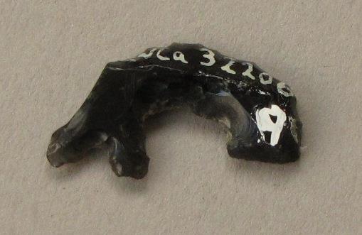 IV Ca 32206 q