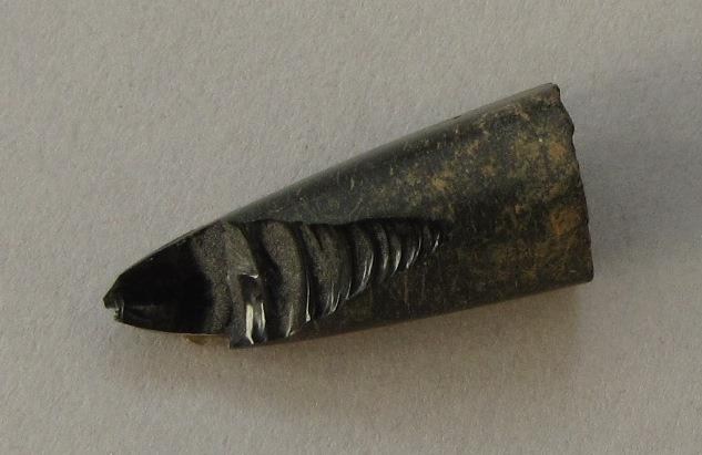 IV Ca 15325