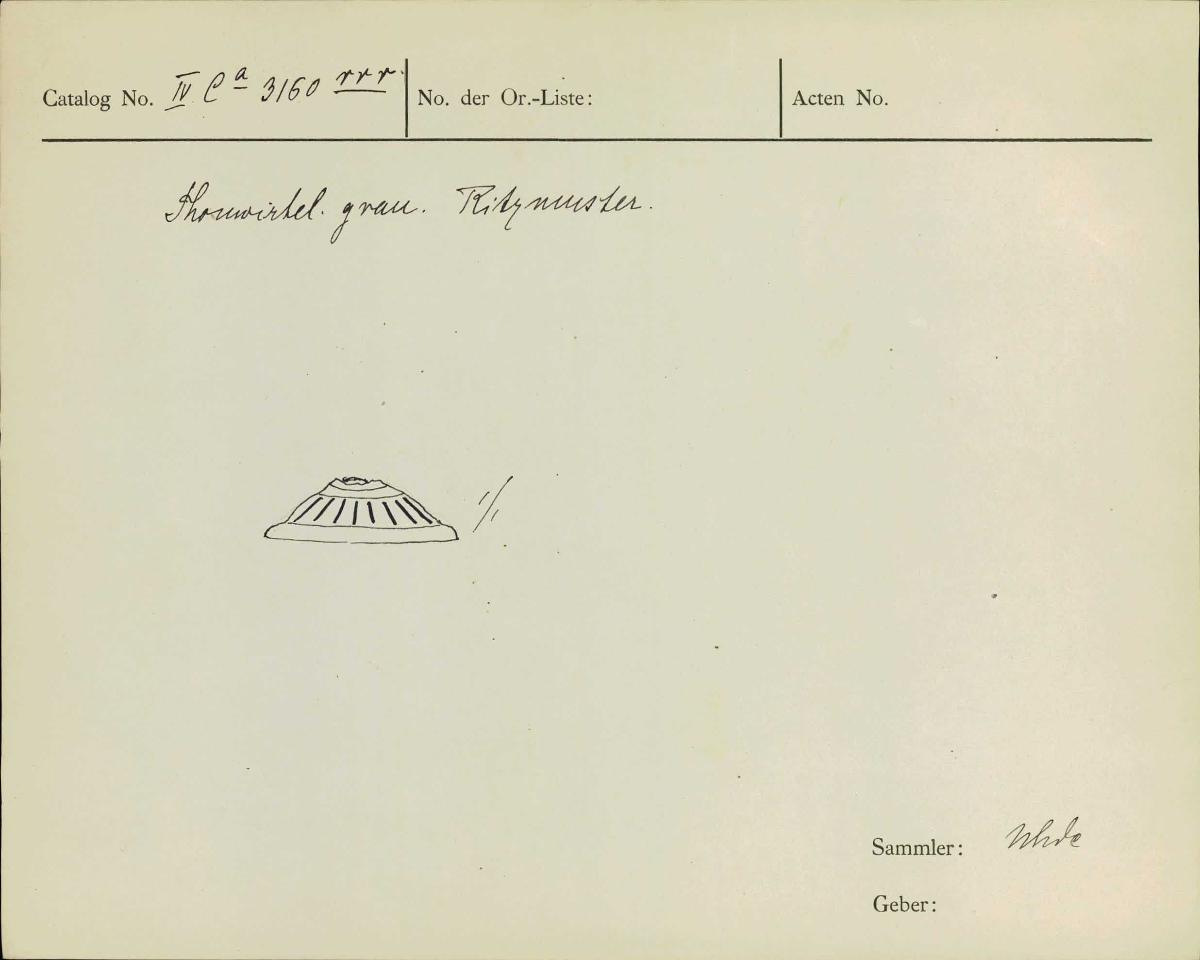 IV Ca 3160 rrr