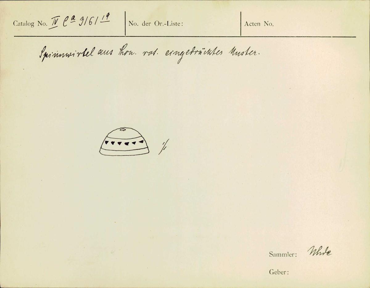 IV Ca 3161 (19)