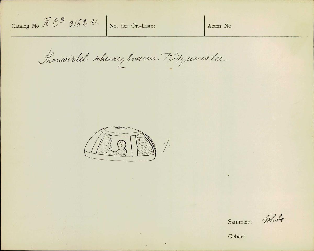 IV Ca 3162 (31)