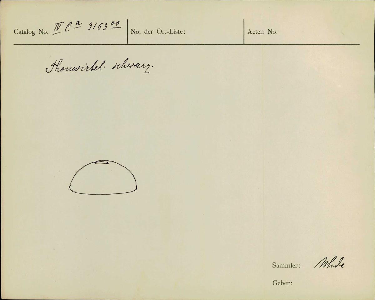IV Ca 3163 oo