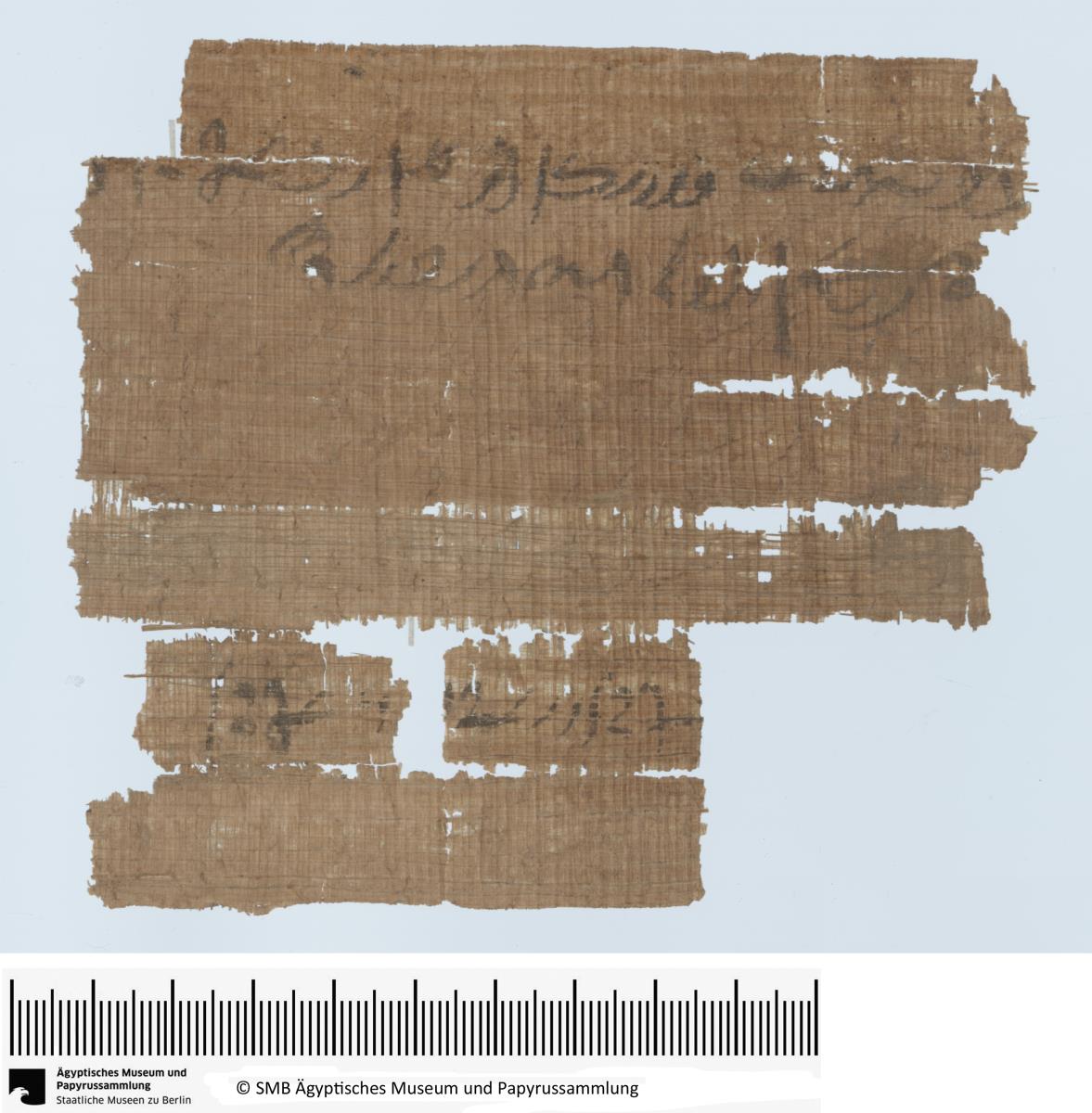 Demotischer Papyrus, Querformatbrief bzgl. Arbeit an einem Schiff