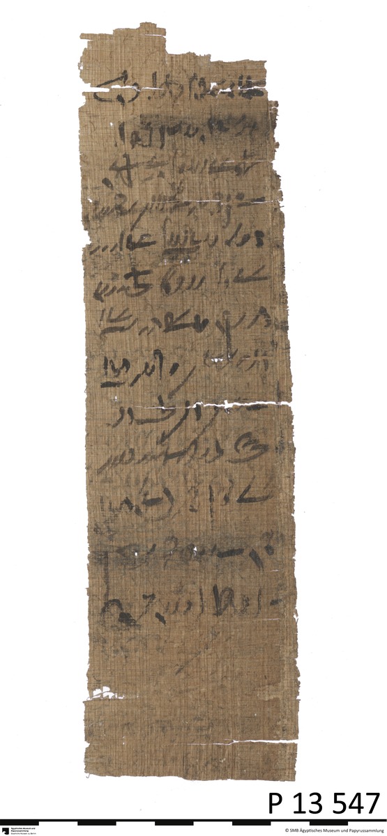 Demotischer Papyrus, Hochformat-Brief an Schreiber Haryothes wegen Eselfleisch für Falken