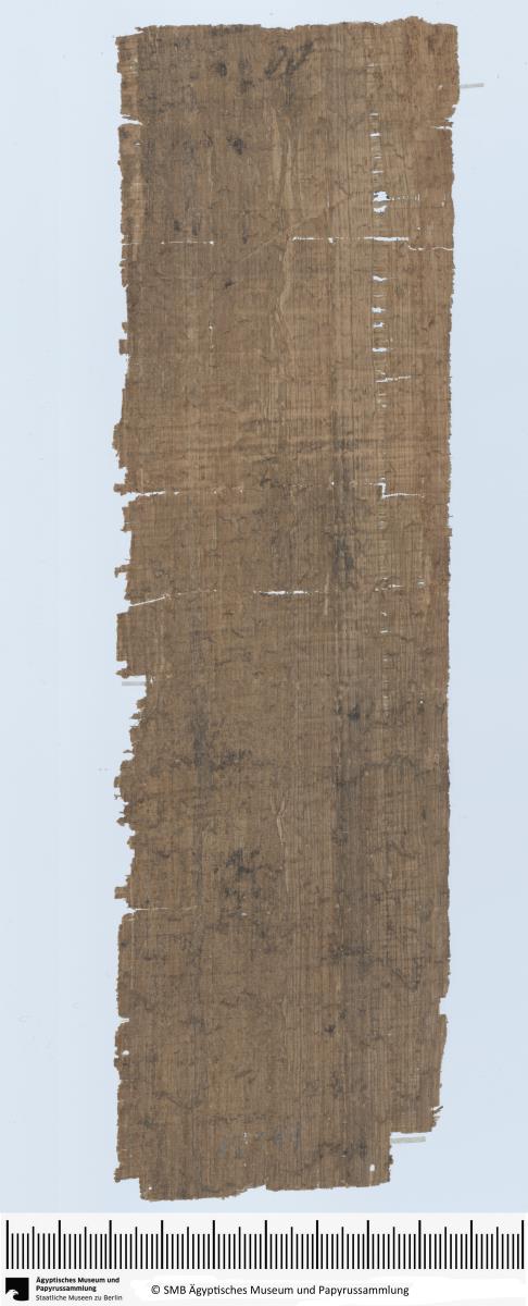 Demotischer Papyrus, Abrechnung, tgm-Öl-Abrechnung