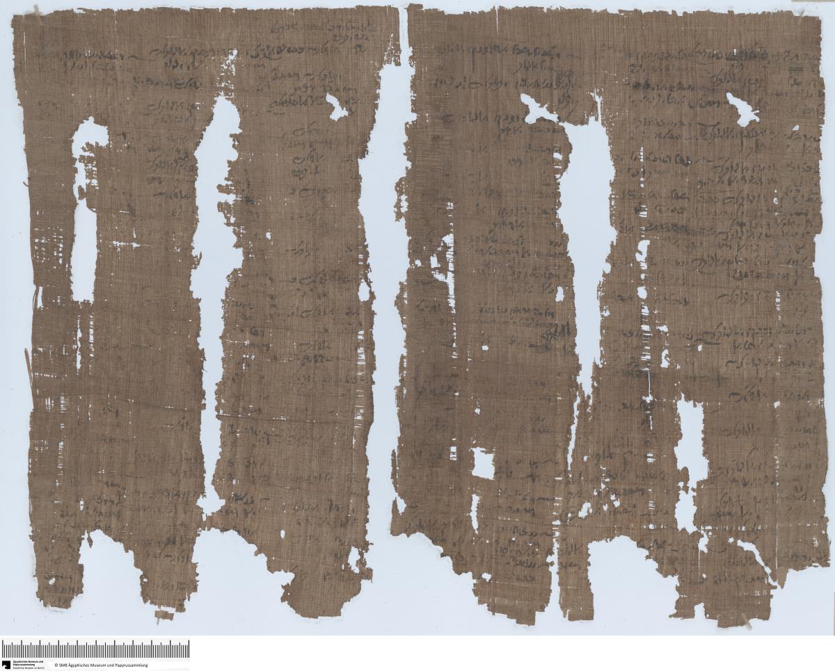 Demotischer Papyrus, Abrechnung über Landzuteilung