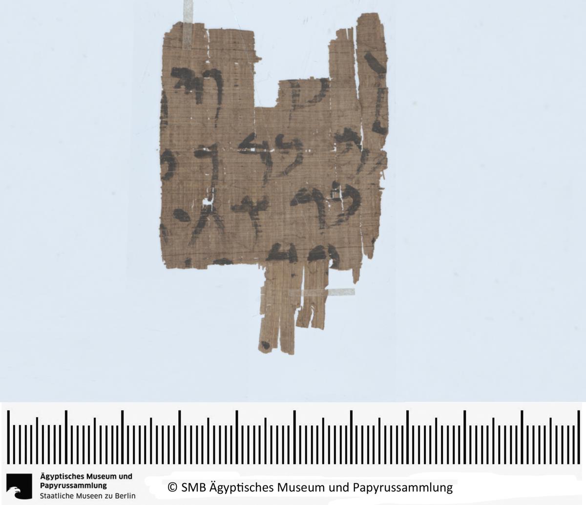 Aramäischer Papyrus, aramäische Version der Behistun‚ Inschrift Dareios’ I., Fragment