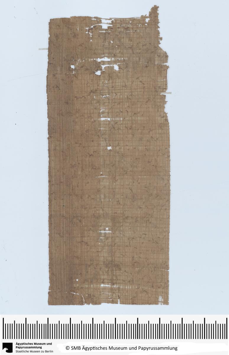Demotischer Papyrus, Hochformatbrief bzgl. Lieferung von tgm-Öl und Wein sowie Fahrt nach Efdu