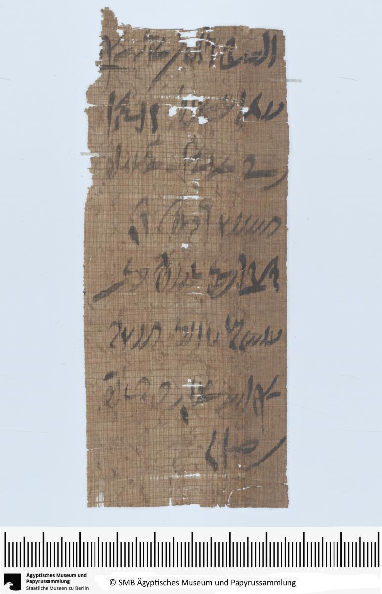 Demotischer Papyrus, Hochformatbrief bzgl. Lieferung von tgm-Öl und Wein sowie Fahrt nach Efdu