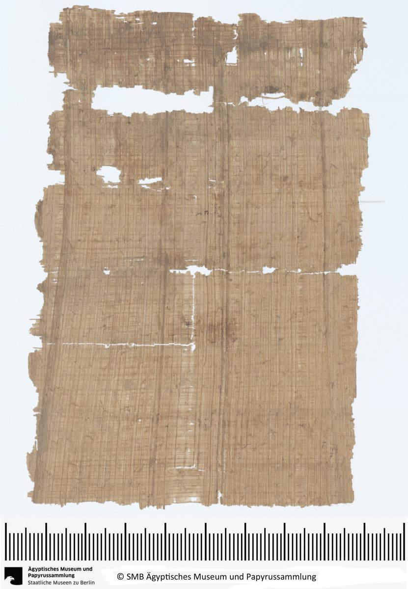 Demotischer Papyrus, Hochformatbrief