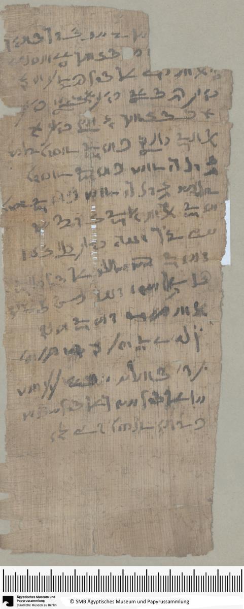 Demotischer Papyrus, Hochformatbrief eines Sohnes des Peteesis an den Propheten Petorsmethis