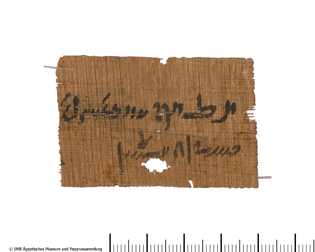 Demotischer Papyrus, Orakelfrage, den Steuererheber des Jahres 6 betreffend