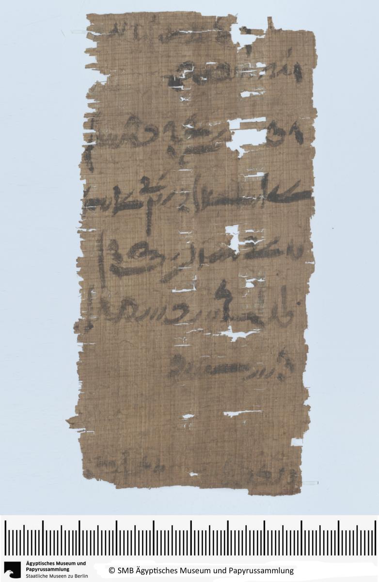 Demotischer Papyrus, Hochformatbrief von Harnuphis an den vorgesetzten Lesonis-Priester Spotus