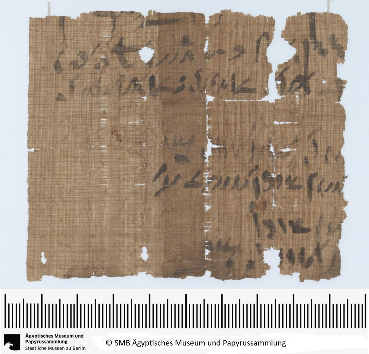 Demotischer Papyrus, Vertrag