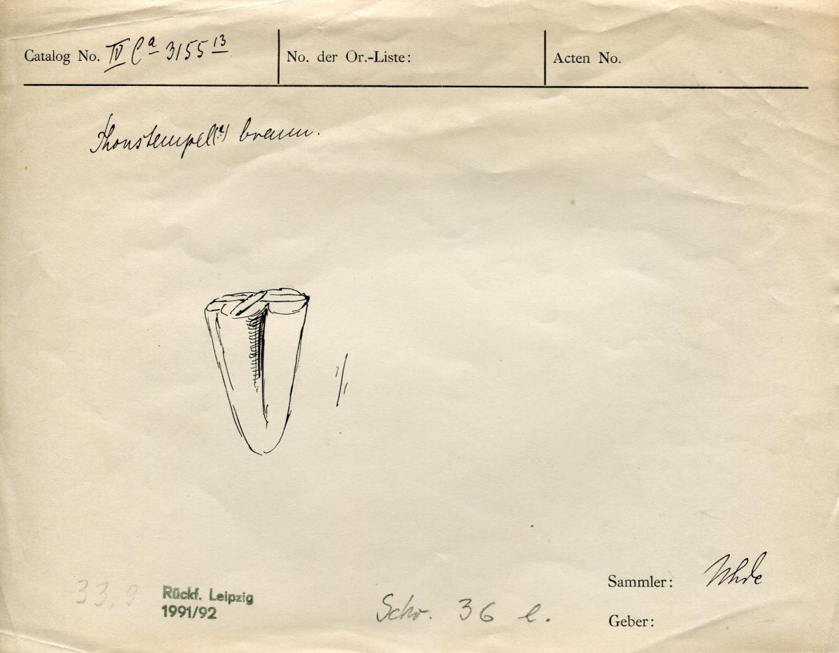 IV Ca 3155 (13)
