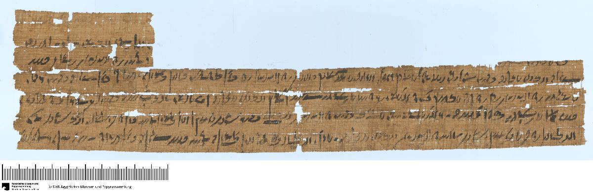 Demotischer Papyrus, Querformatbrief, Bitte um einige Handwerker