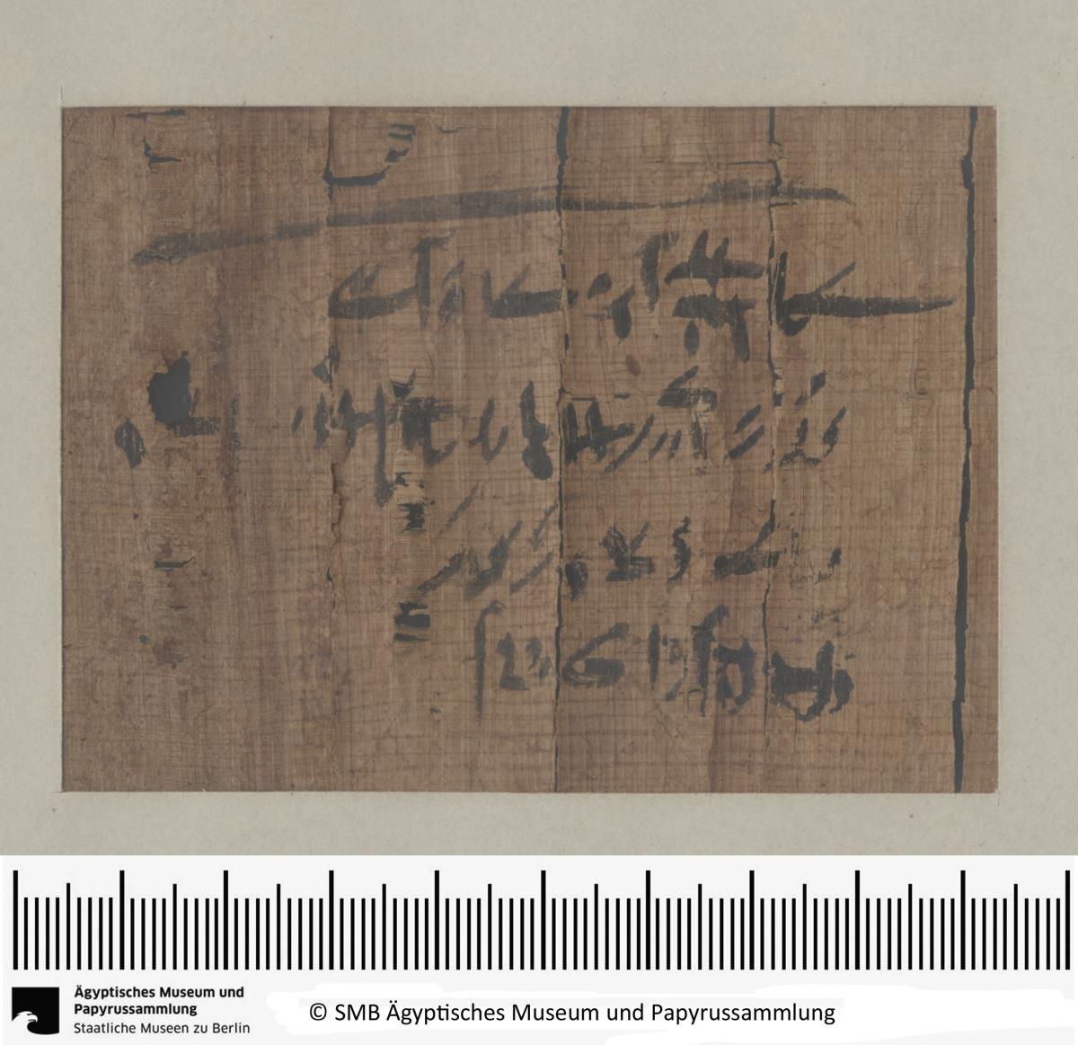 Demotischer Papyrus, Kaufvertrag über trächtige Kuh