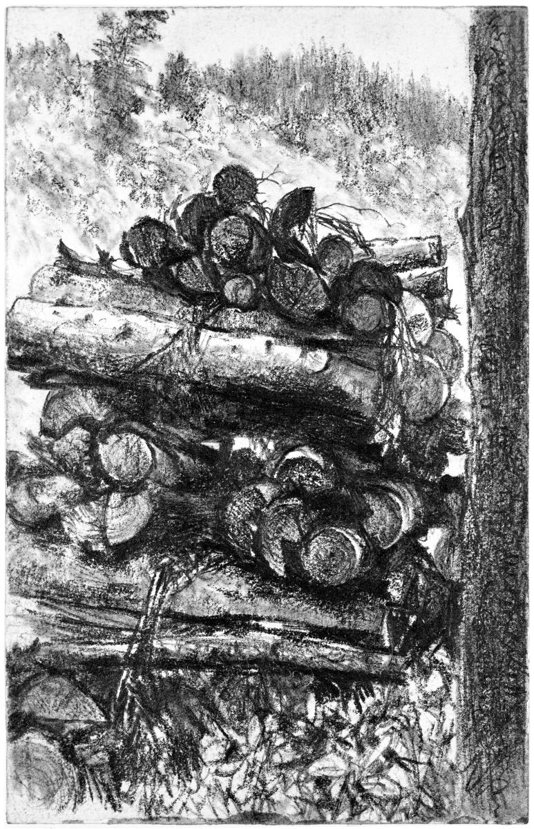 Holzstapel an einem Baum, dahinter ein Abhang