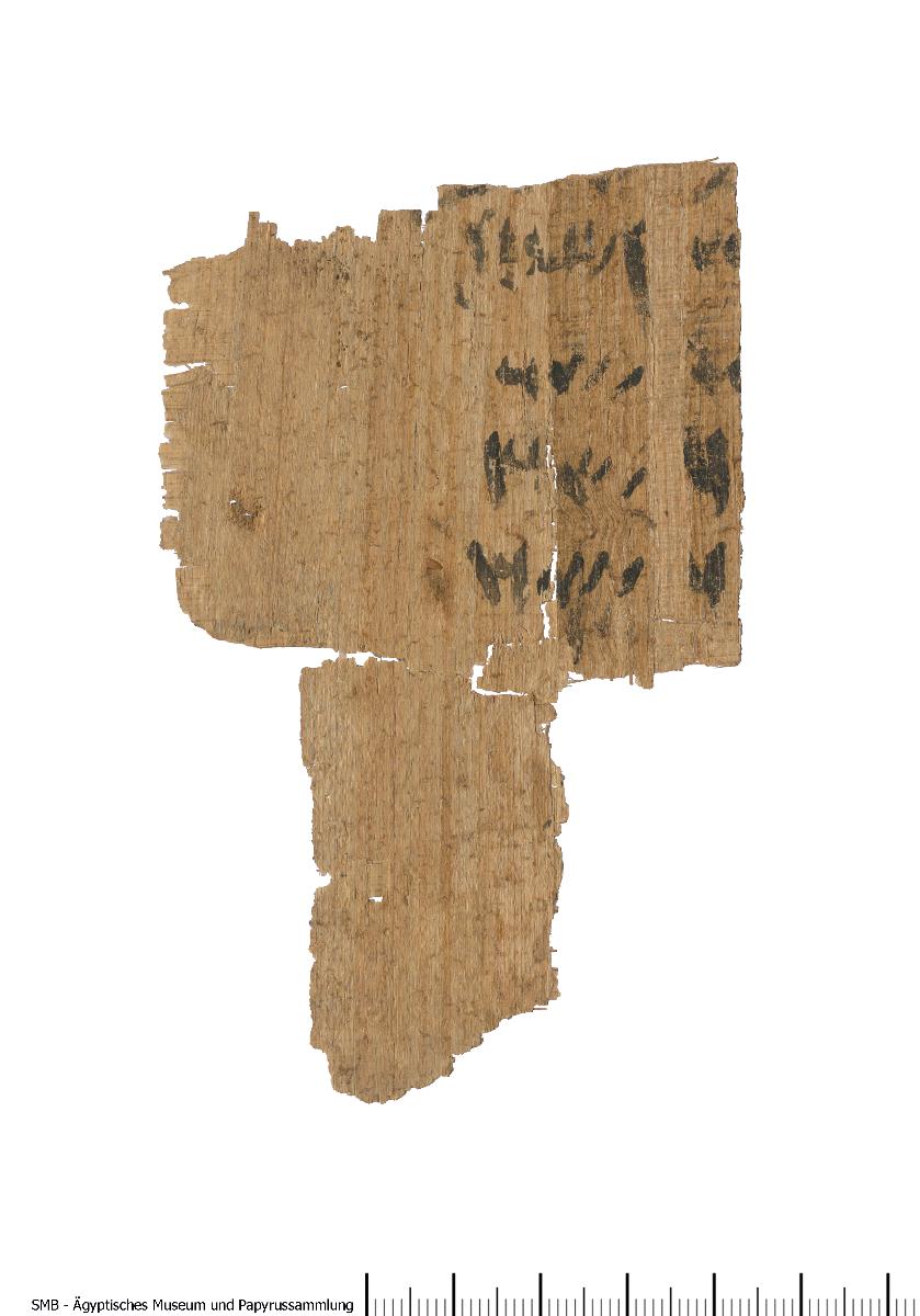 Demotischer Papyrus, Abrechnung (alter Text) bzw. demotische Schreibübung (neuer Text)