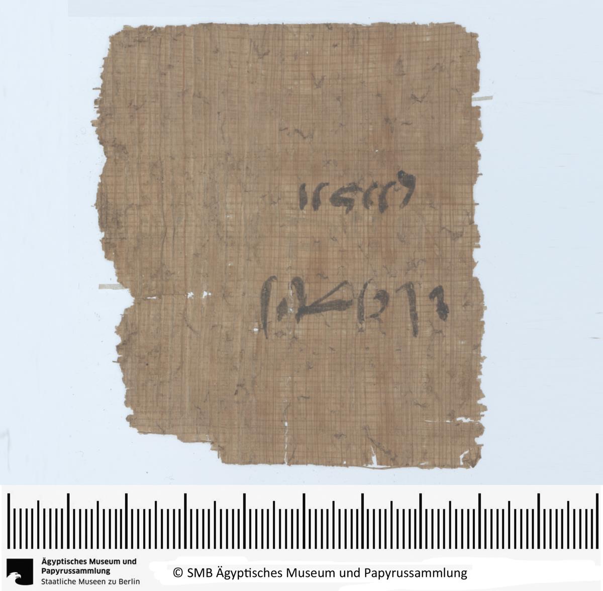 Demotischer Papyrus, Hochformatbrief