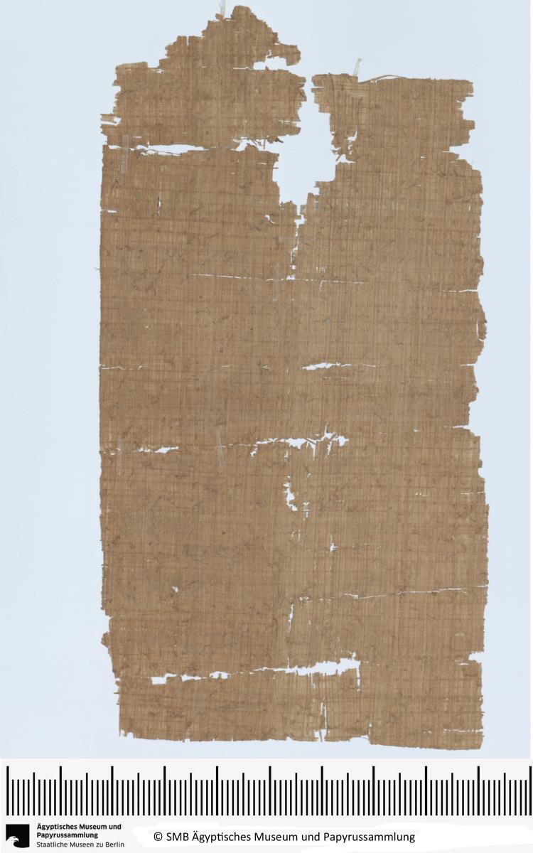 Demotischer Papyrus, Vertrag