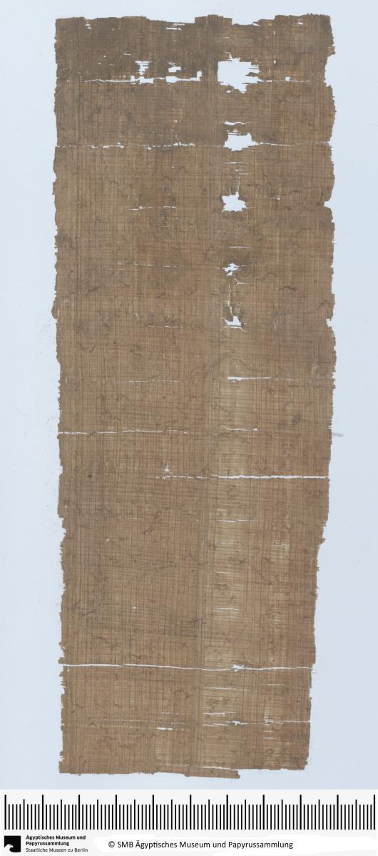 Demotischer Papyrus, Hochformatbrief, Vorhersage des Einkerkerns einiger Leute