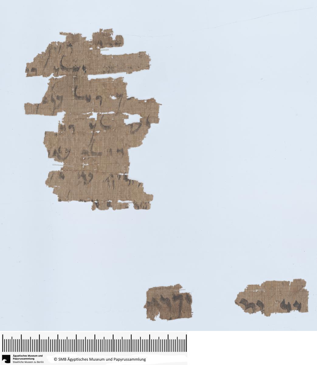 Aramäischer Papyrus, Vertrag