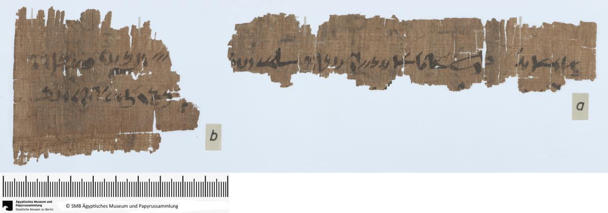 Demotischer Papyrus, Querformatbrief