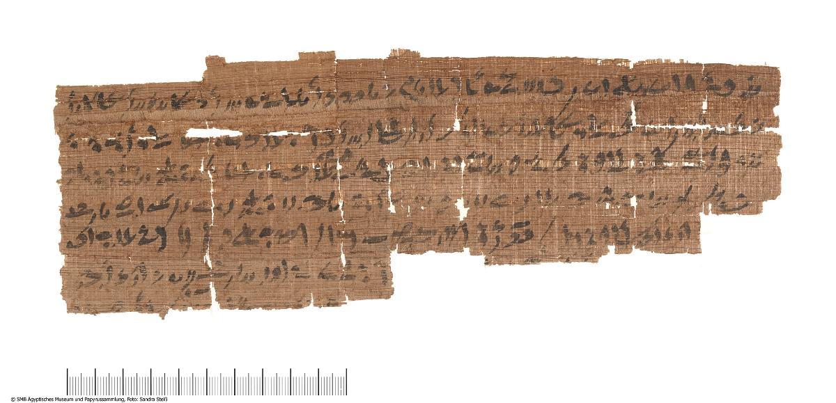 Demotischer Papyrus, Querformatbrief, Lieferung von tgm-Öl (Pap. Berlin P 15771 + P 23564a-b)