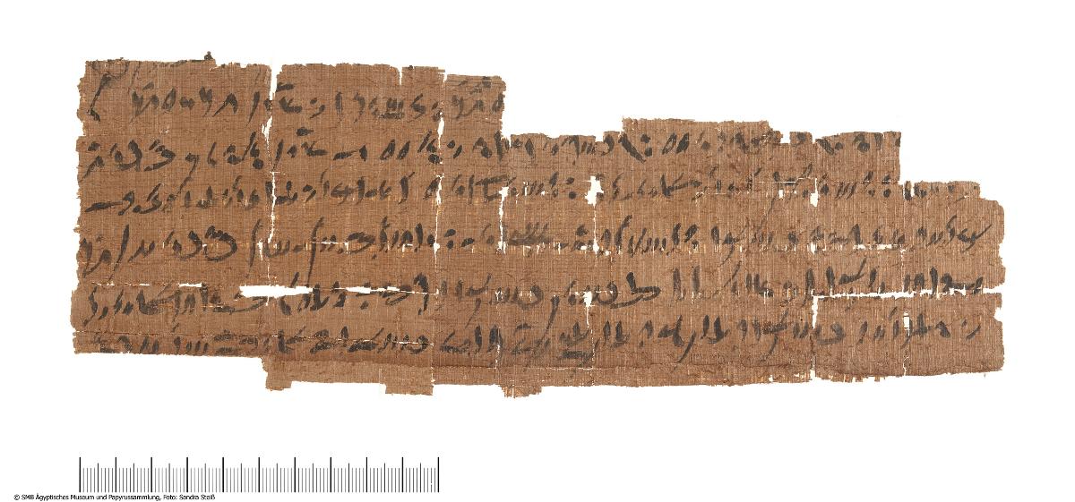 Demotischer Papyrus, Querformatbrief, Lieferung von tgm-Öl (Pap. Berlin P 15771 + P 23564a-b)