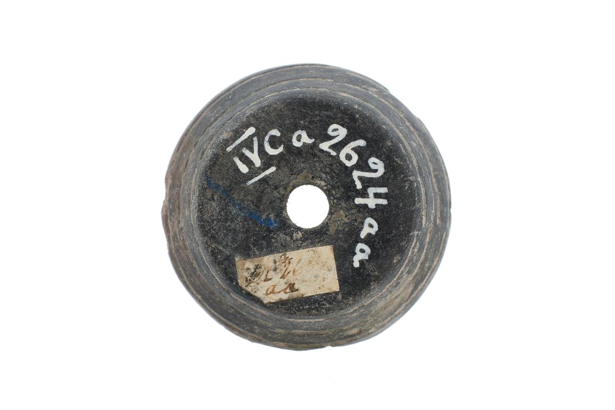 IV Ca 2624 aa