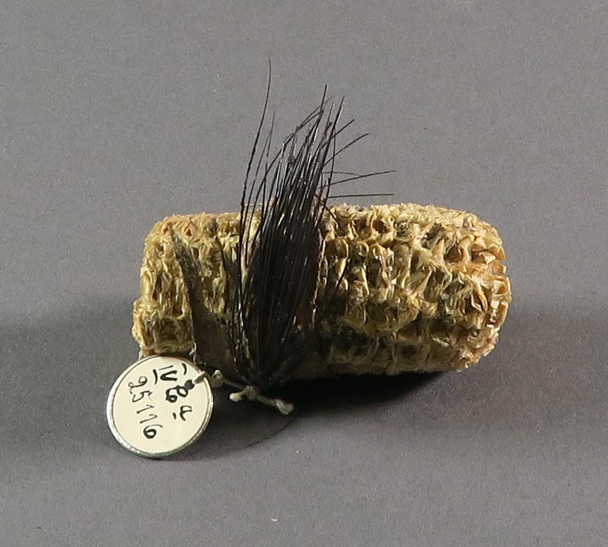 IV Ca 25116