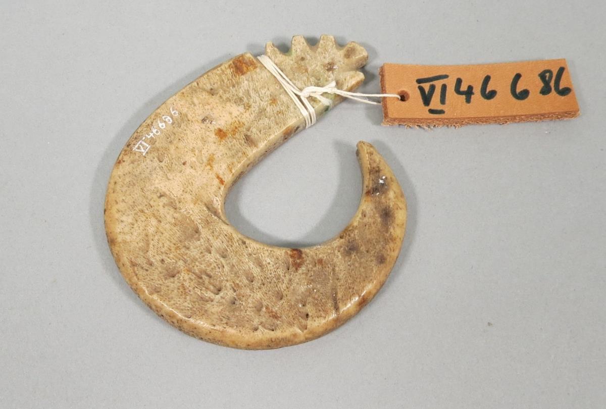 VI 46686 <2>