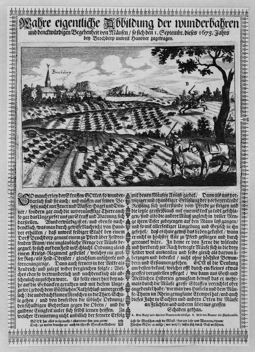 Flugblatt: Wahre eigentliche Abbildung der wunderbahren und denckwürdigen Begebenheit von Mäusen / so sich den 1.Septembr. dieses 1675. Jahrs bey Brochdorp unweit Hanover zugetragen