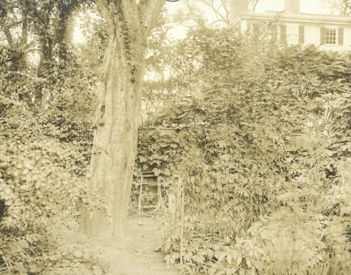 Salem, Garten