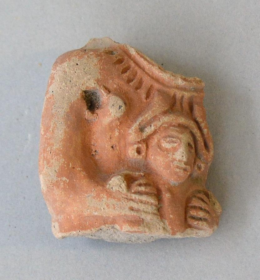 VII E 2877