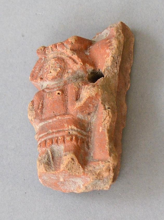 VII E 2895