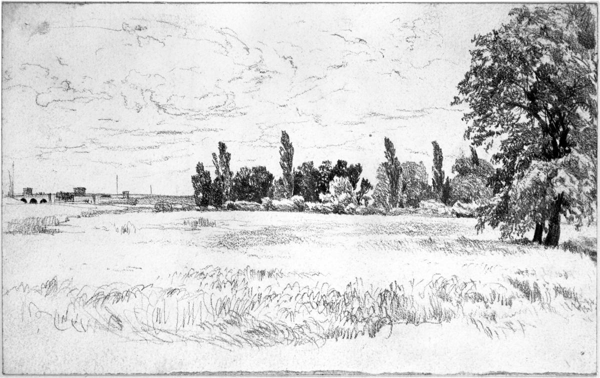 Wiese mit Waldung und Brücke im Hintergrund