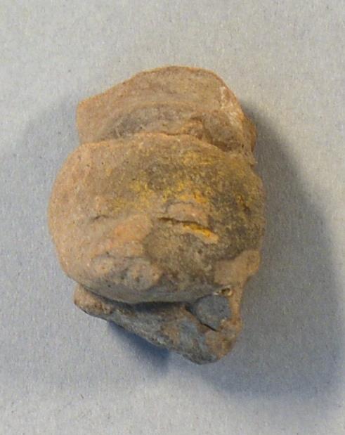VII E 1905