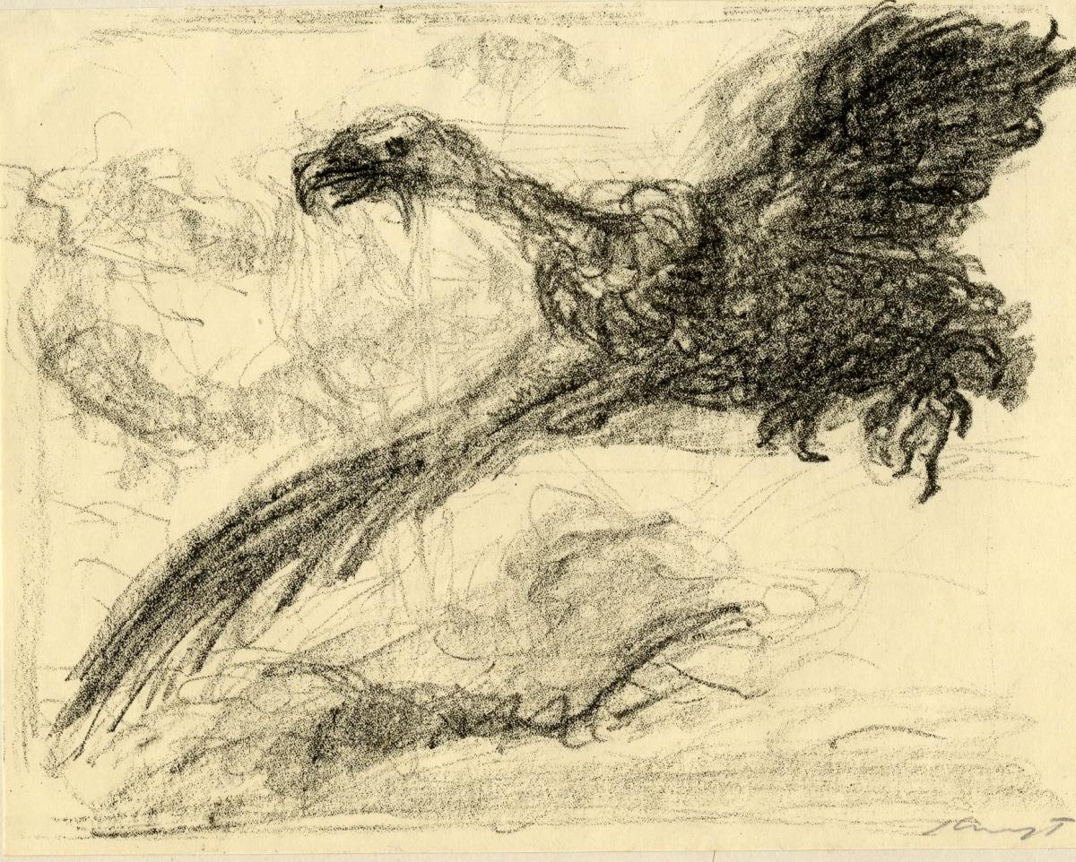 Sindbad der Seefahrer (Der Vogel Roch)