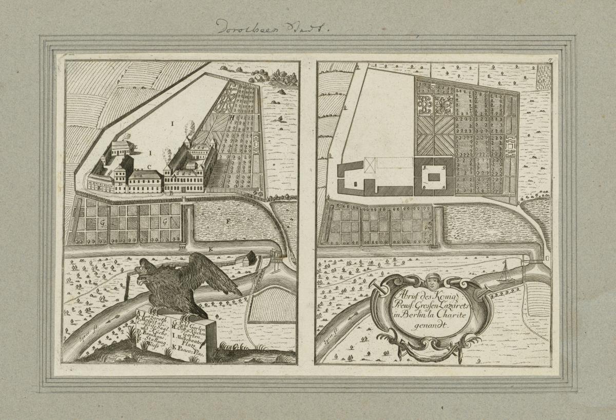 Dorotheen-Stadt. Charité.