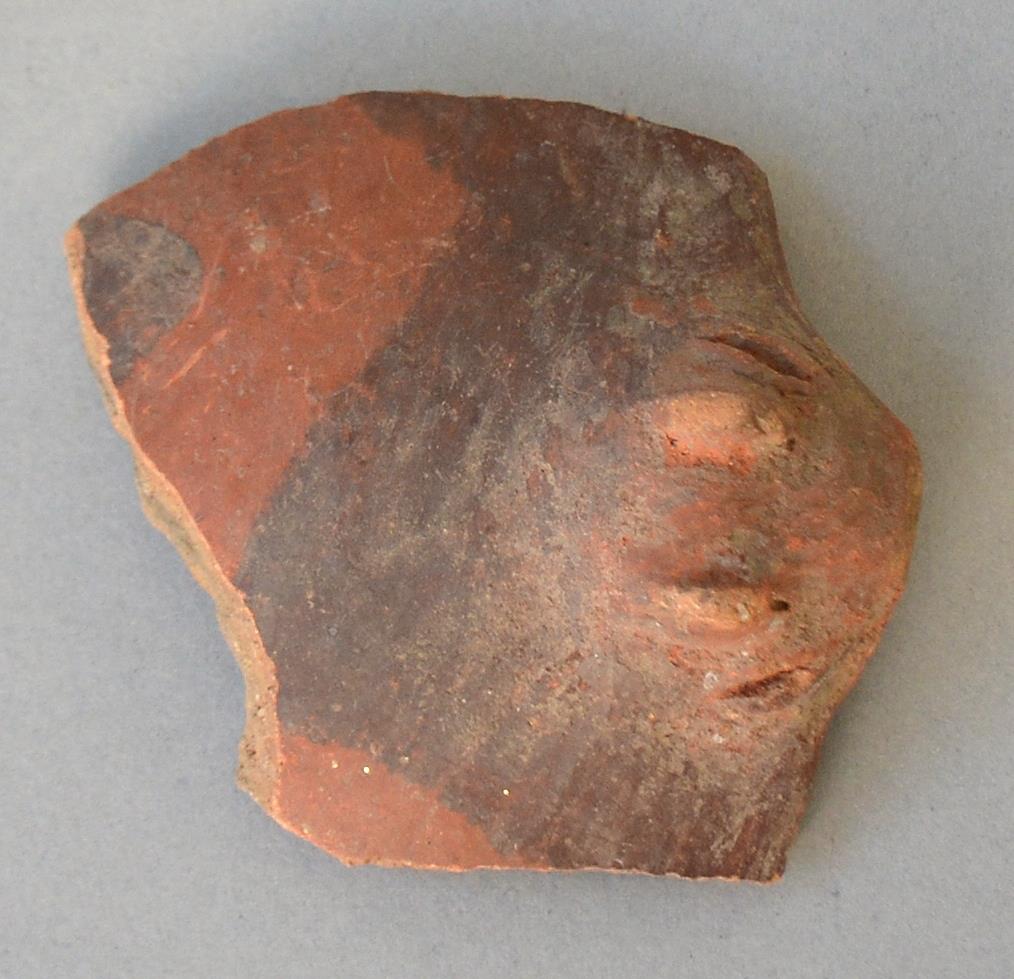 V C 2313 a
